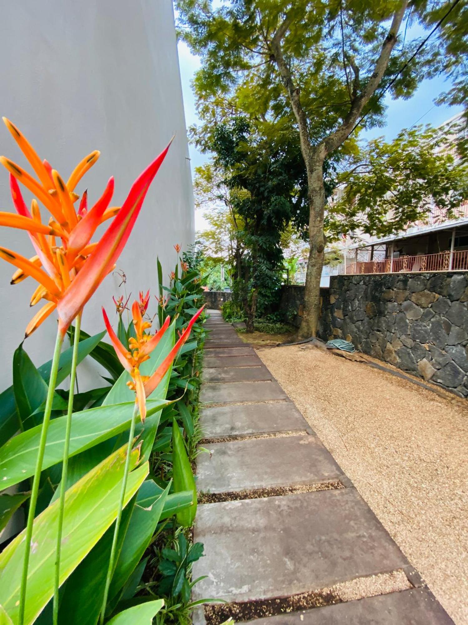 Belle Haven Gf 1Bedroom Flat 蒙舒瓦西 外观 照片